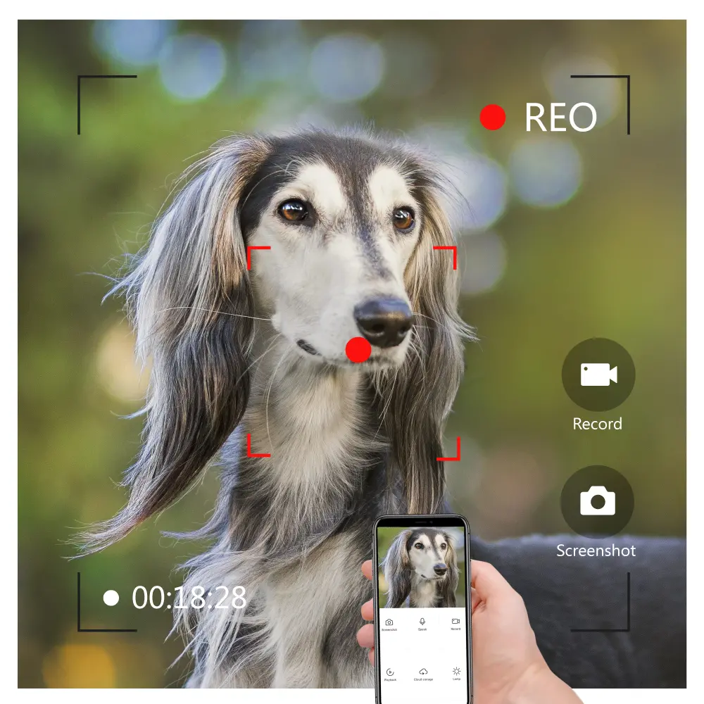 7英寸 WiFi AHD 视频门铃 # RL-B17AD-TY- 夜间摄像机光补偿。- 远程开锁。- 用户密码解锁。- 监视门外。- 使用图雅智能 App _ 06